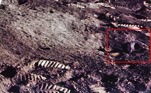 nasa吃瓜群众,揭秘航天员背后的生活点滴