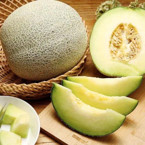 哺乳期可以吃白金蜜瓜,白金蜜瓜的营养与美味