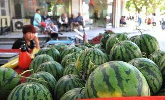 吃瓜小喇叭,揭秘娱乐圈那些不为人知的幕后故事