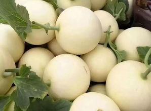 香溢吃瓜,揭秘娱乐圈那些不为人知的幕后故事