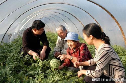 新疆婚礼吃瓜事件,一场婚礼背后的文化解读与反思