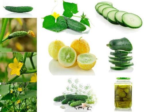 日常吃瓜生活号,揭秘娱乐圈那些事儿