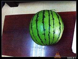 吃瓜9年,揭秘娱乐圈那些不为人知的幕后故事