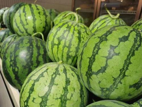 顶流吃瓜3,吃瓜3背后的故事与真相