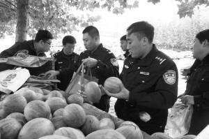 吃瓜群众田某某,揭秘吃瓜群众的趣味生活