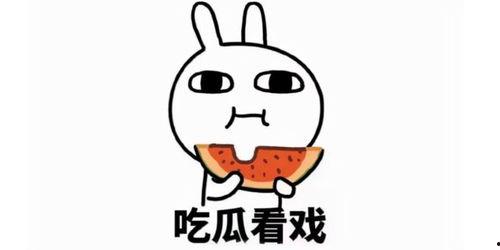 国乙吃瓜委托,揭秘娱乐圈背后的那些事儿