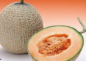 吃哈密瓜可以核酸检测