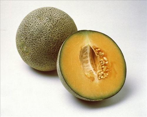 吃瓜手册唐十八,吃瓜手册中的美食传奇