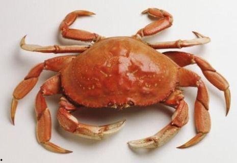 吃过螃蟹可以吃黑密瓜吗,黑密瓜的甜蜜邂逅