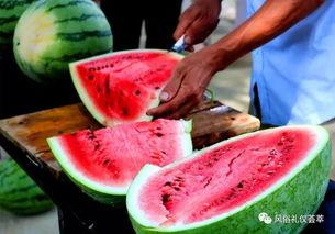 梦到去地里摘瓜吃瓜,摘瓜吃瓜的田园幻想之旅