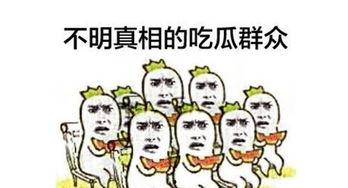 体贴吃瓜群众,揭秘娱乐圈幕后故事