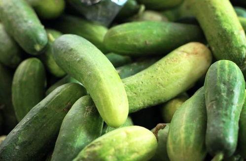 豆瓣七组快乐吃瓜,快乐吃瓜，畅谈娱乐圈风云变幻