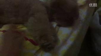 感人的吃瓜视频,让人瞬间泪目