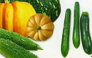 鹰嘴瓜怎么吃,探索美味与营养的完美结合