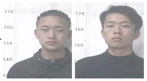 吃瓜群众刘勇,揭秘娱乐圈幕后故事