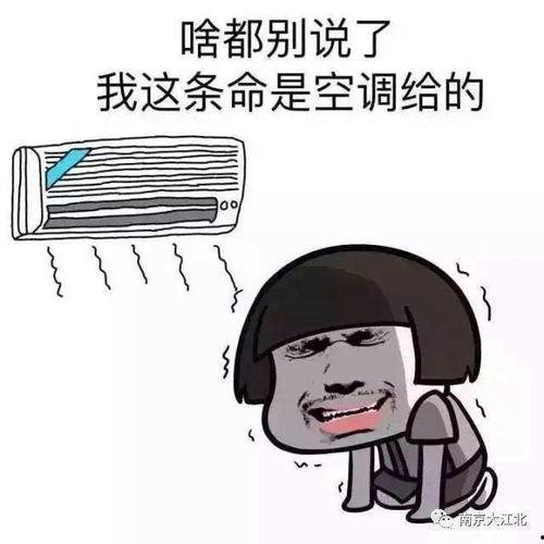 别人给送瓜吃,共享甘甜共度时光