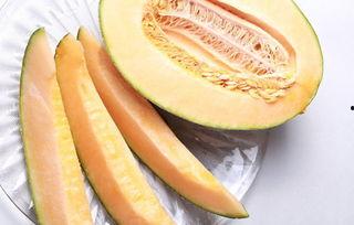 吃哈密瓜后背刺痛,揭秘吃后背刺痛的奇妙现象