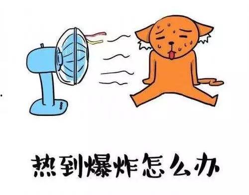 备战高考吃瓜,吃瓜之余，揭秘高效学习秘诀