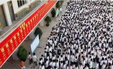 备战高考吃瓜,吃瓜之余，揭秘高效学习秘诀