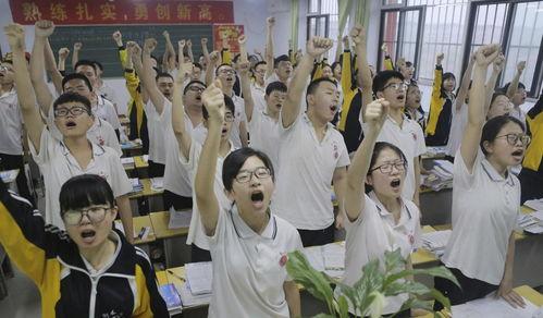 备战高考吃瓜,吃瓜之余，揭秘高效学习秘诀