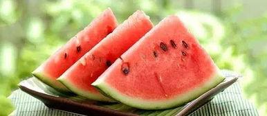 穷人吃瓜视频大全,瓜界盛宴大盘点