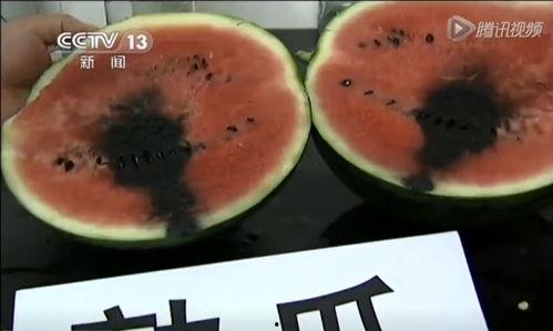 吃瓜摔瓜视频,吃瓜摔瓜视频背后的趣味与思考