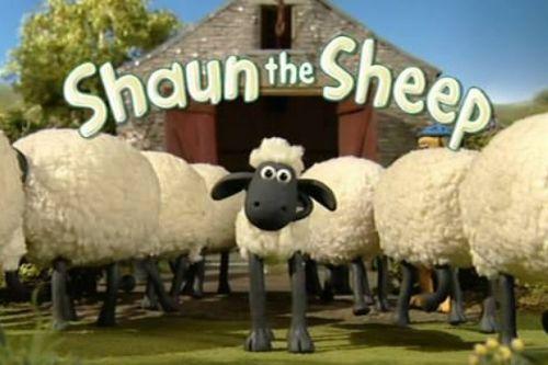 小羊肖恩吃瓜,小羊肖恩的夏日瓜趣之旅