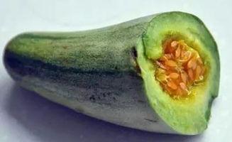 怀孕吃牛角瓜,牛角瓜助力健康孕育之旅