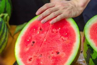 丽水学校吃瓜事件,校园风波背后的真相与反思