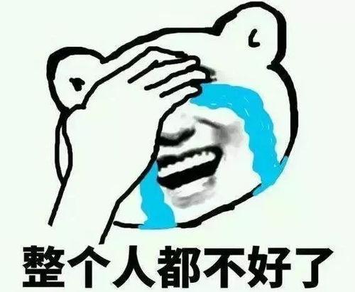 铁锤妹妹带你吃瓜,畅游味蕾盛宴之旅