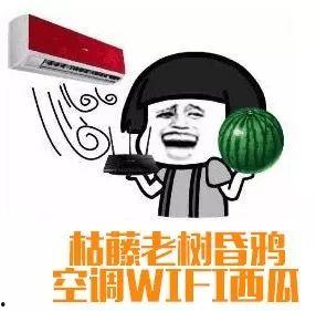 吃瓜群众1 10,揭秘网络热议背后的真相