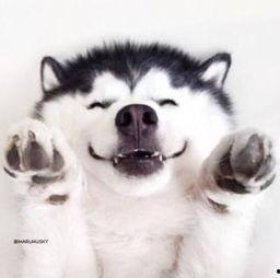 吃瓜视频群众黑脸,黑脸现象背后的社会现象解析