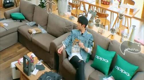 躺沙发上吃瓜,悠闲时光里的惬意生活