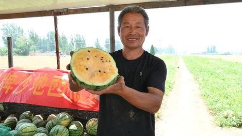 邳州最近吃瓜事件视频,一场引发热议的网络风波