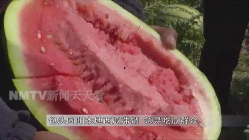 吃瓜网站老王,带你领略网络舆论场的风云变幻