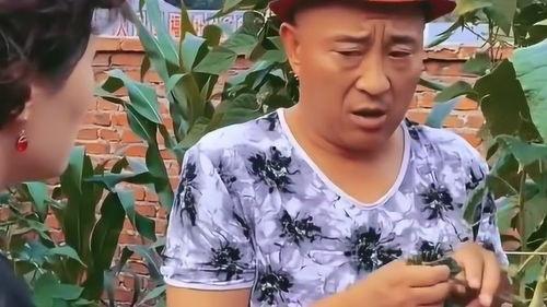 赵老四吃瓜,揭秘娱乐圈背后的那些事儿