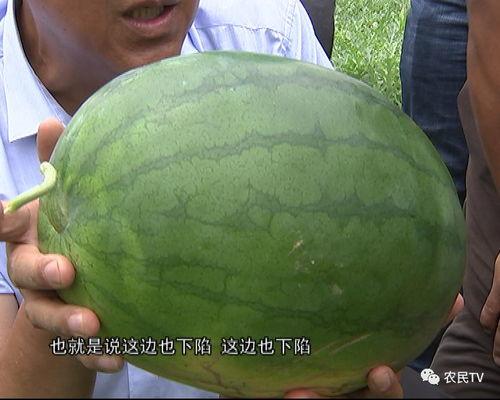 优质吃瓜网友,优质吃瓜网友带你领略幕后风云