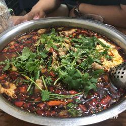 陈老幺吃瓜,揭秘娱乐圈幕后故事