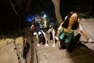 吃瓜看戏小分队