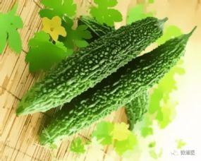 春吃芽夏吃瓜春夏换季,换季养生之道