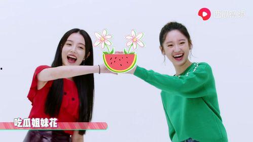 吃瓜爆料姐妹视频,娱乐圈幕后真相大曝光