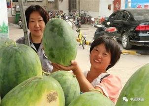 瓜农请环卫吃瓜