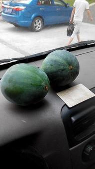 梦见路边摘瓜吃,路边摘瓜吃，揭秘潜意识中的田园幻想