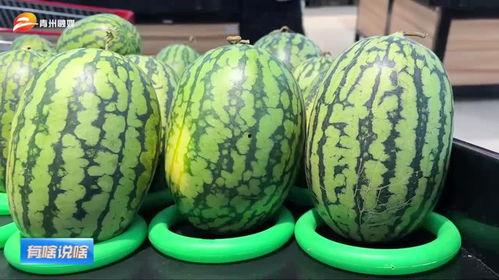 最新吃瓜模式,揭秘明星背后的惊人真相！