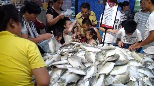 吃瓜毛利额,揭秘吃瓜毛利额背后的惊人真相