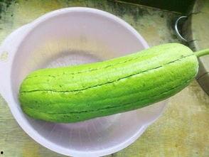 水瓜经期可以吃吗,经期女性适宜食用水瓜的饮食建议