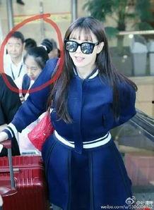 吃瓜区一姐,揭秘网络红人的崛起之路