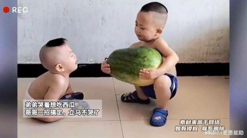 吃瓜吃到哭,揭秘娱乐圈背后的真相与泪点