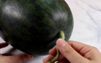 纹络瓜怎么吃,解锁美味新体验