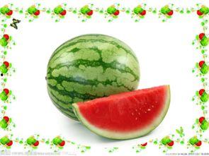 吃瓜课,轻松掌握娱乐圈热点，畅享娱乐盛宴